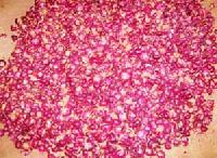Manufacturers Exporters and Wholesale Suppliers of Bangalore Rose Onion Chennai Tamil Nadu